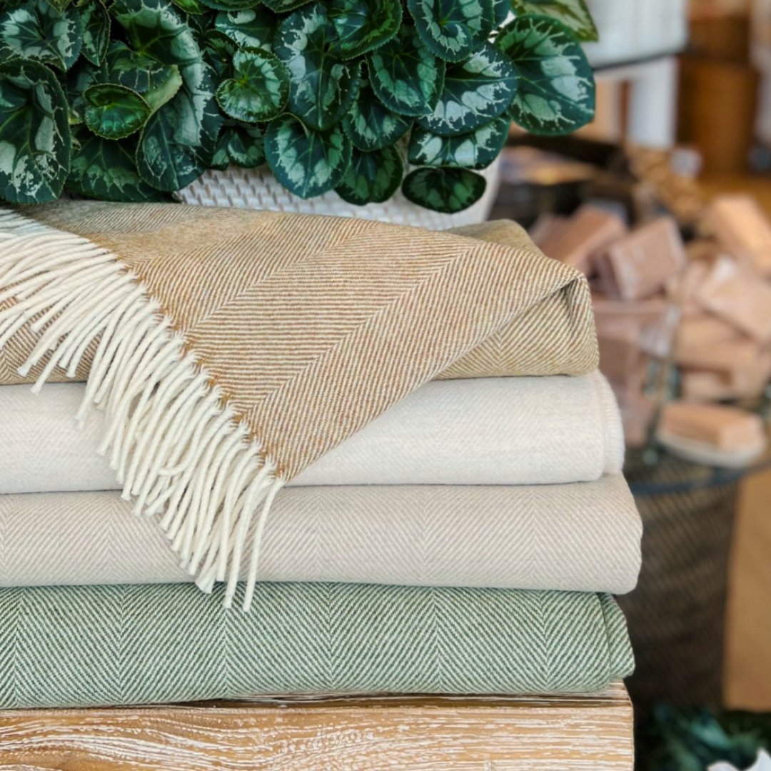 Throws Home and Abroad Trading