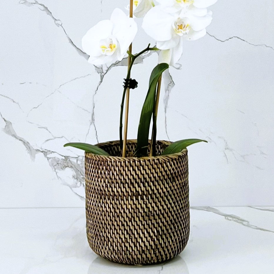 Brown Orchid Pot - 2 sizes