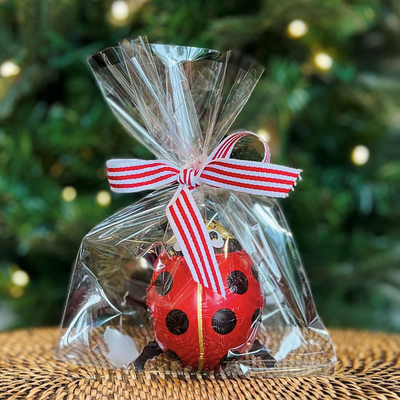 Large Chocolate Ladybird