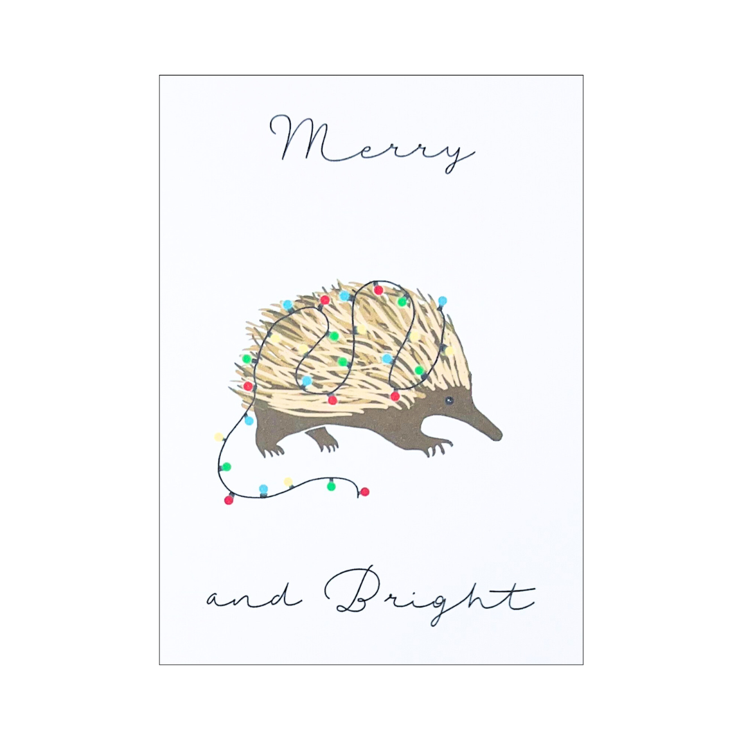 Christmas Card - Echidna