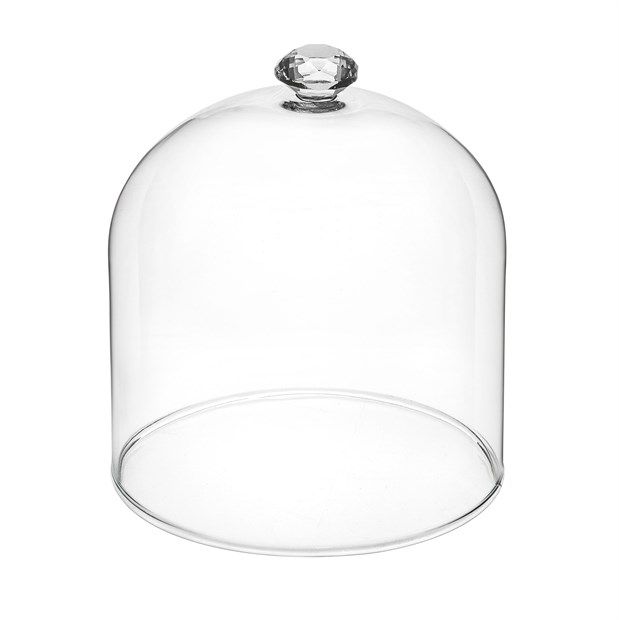 Glass Dome/Cloche