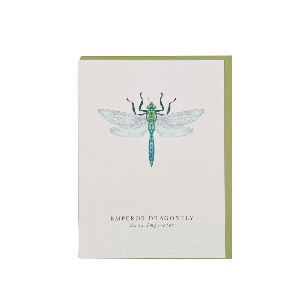 Card Dragonfly