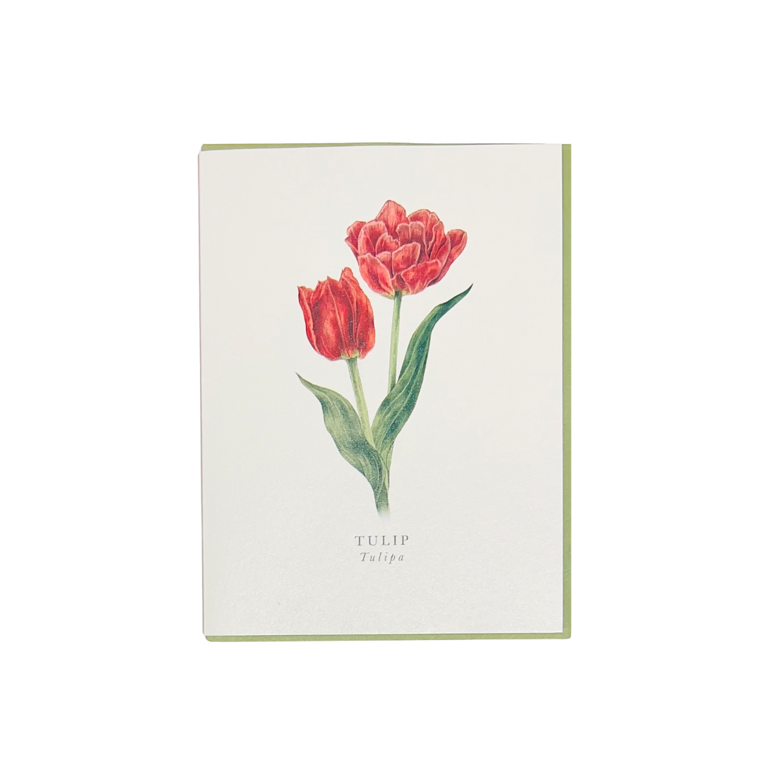 Card Tulip