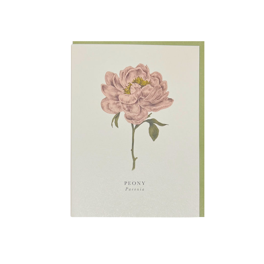 Card Peony