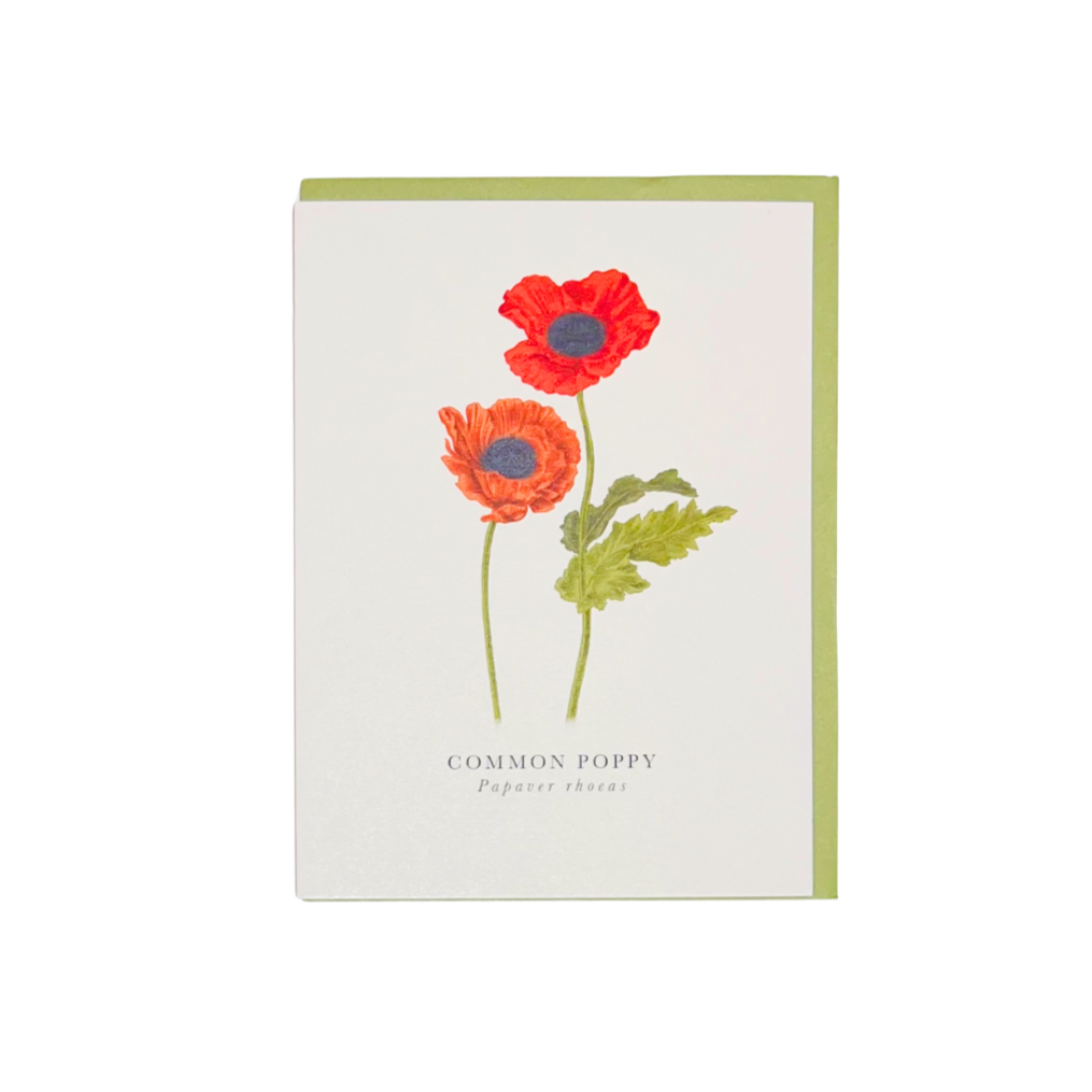 Card Poppy