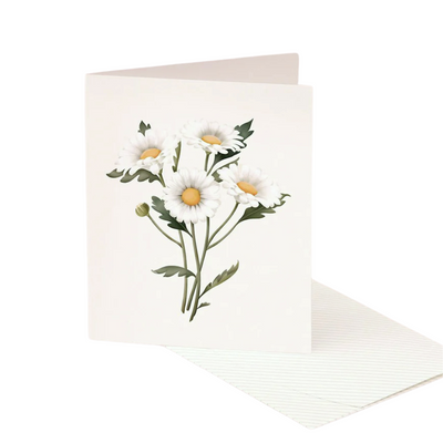 Card Botanical Scented Daisy