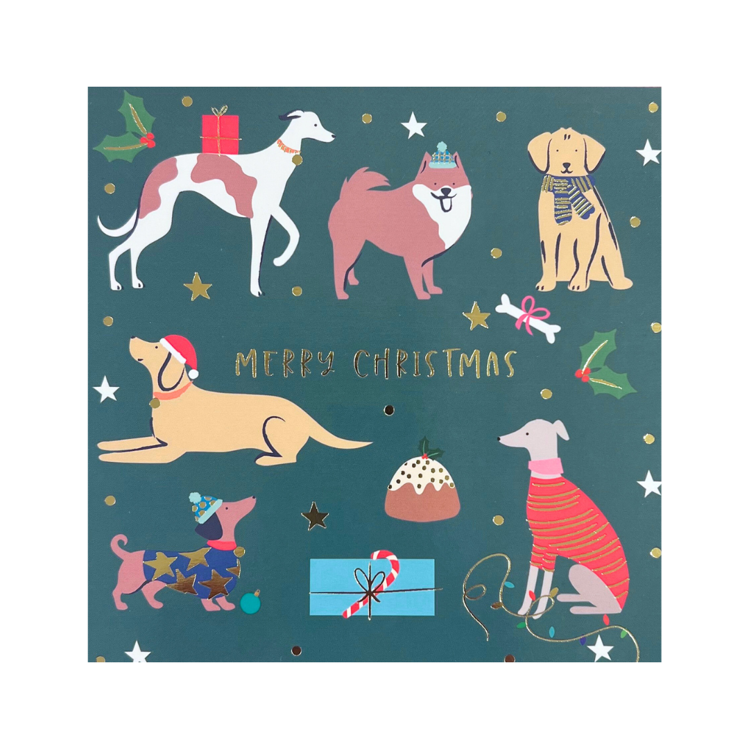 Christmas Card - Christmas Dogs