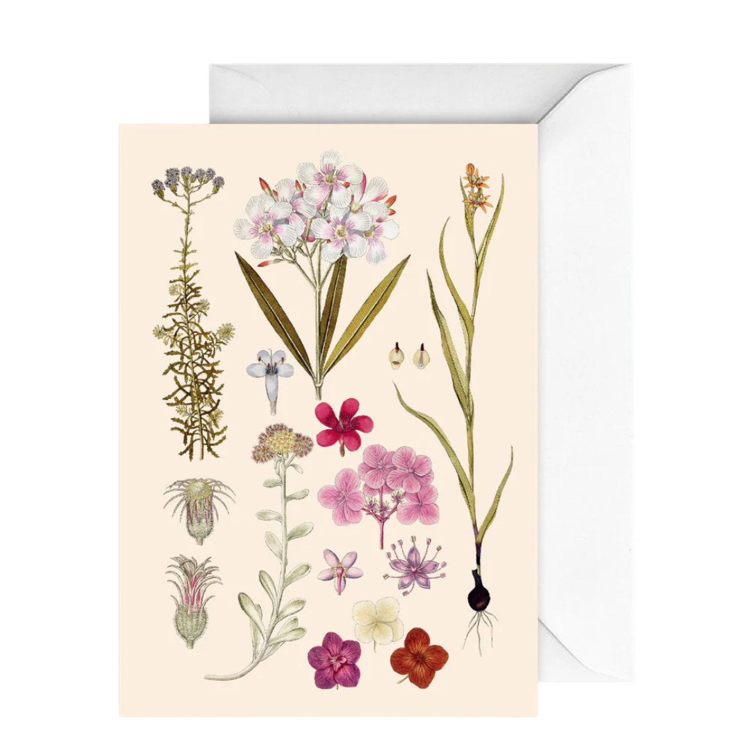 Card Botany Floral