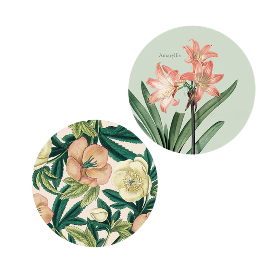 Set of 4 Coasters - Hellebore