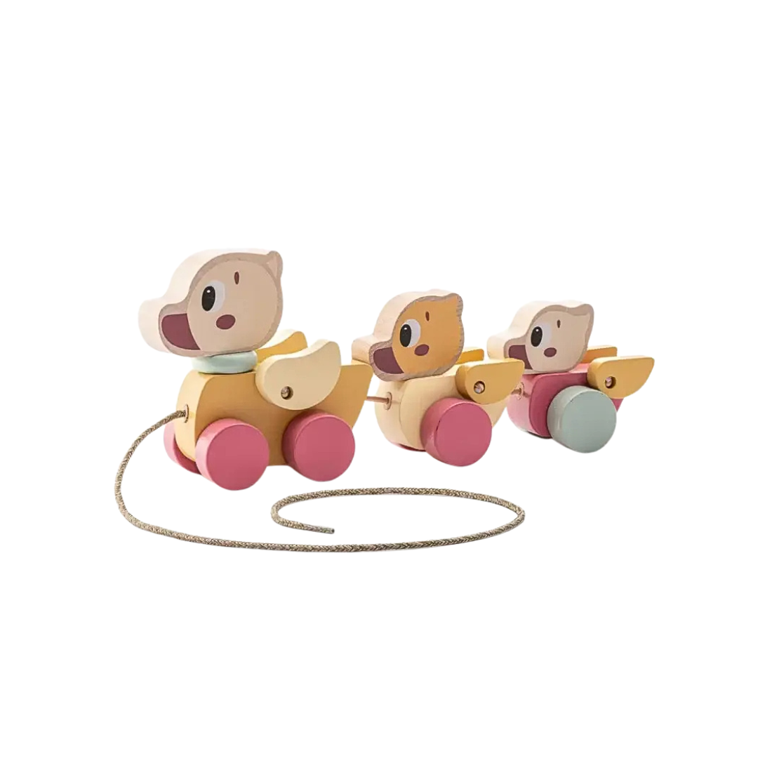 Wooden Pull-a-Long Ducks