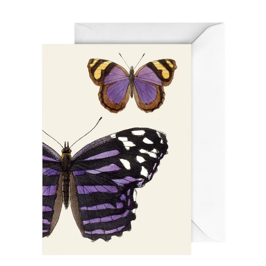 Card Naturalist Butterfly