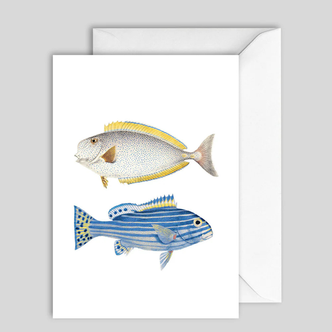 Card Oceanology Blue Fish