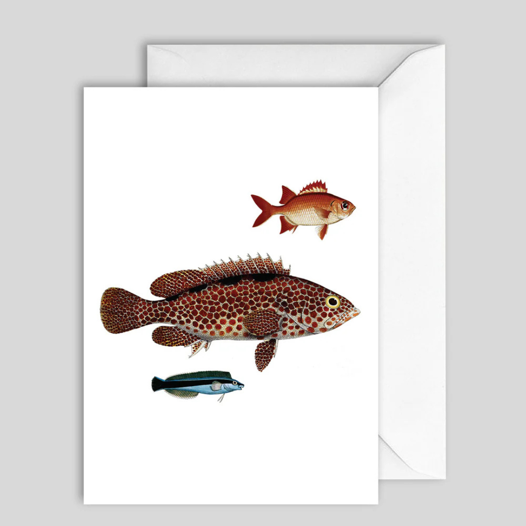 Card Oceanology Three Fish