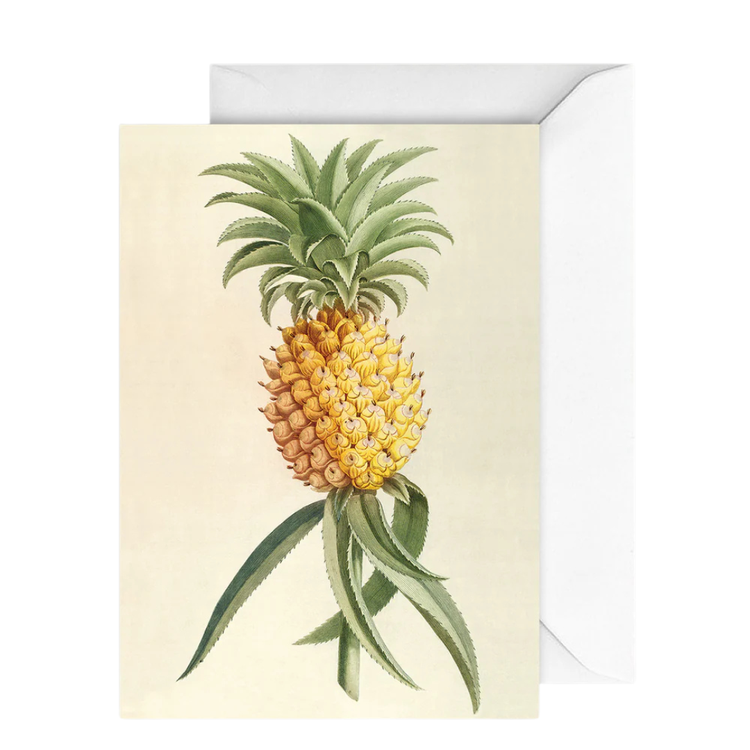 Card Botany Pineapple