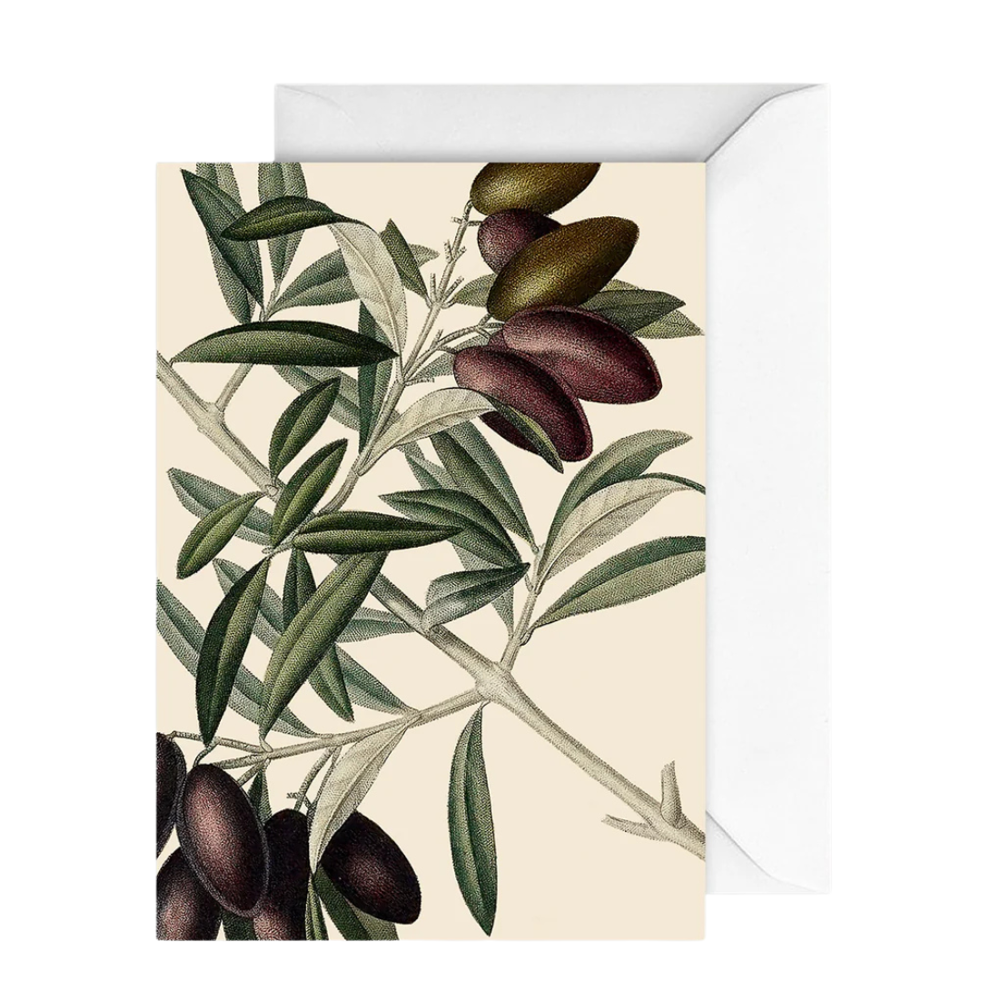 Card Botany Olive