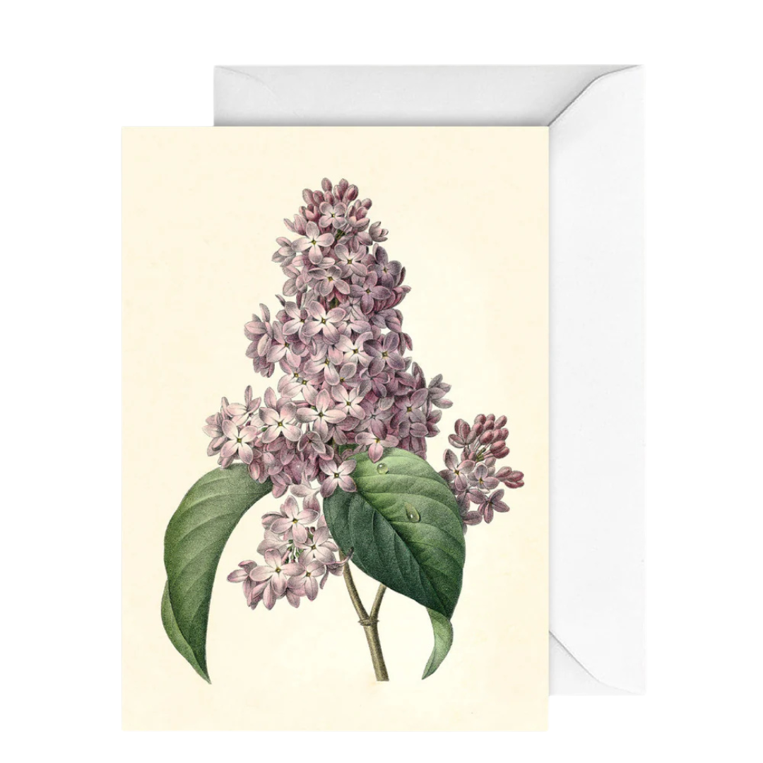 Card Botany Lilac