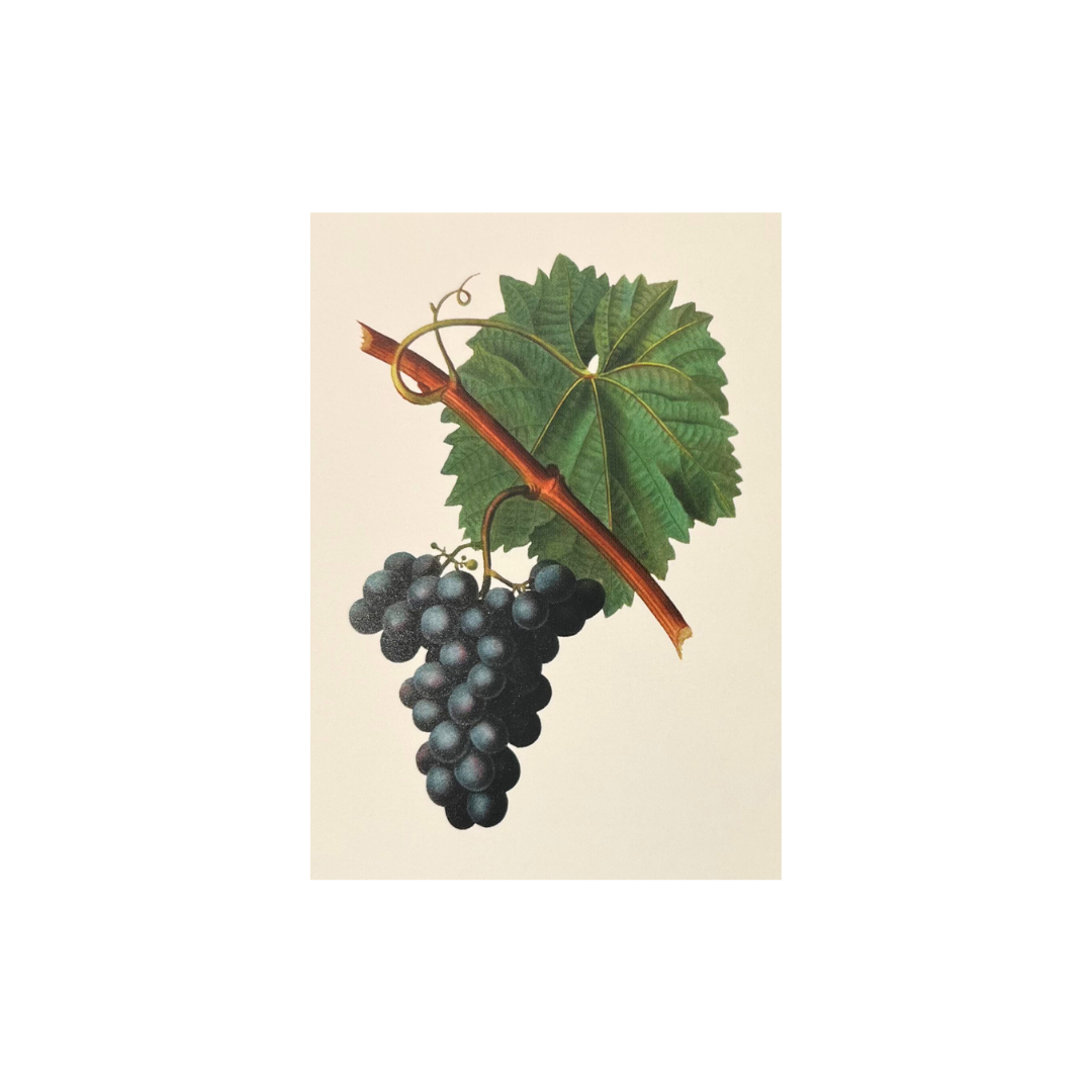 Mini Card - Grapes