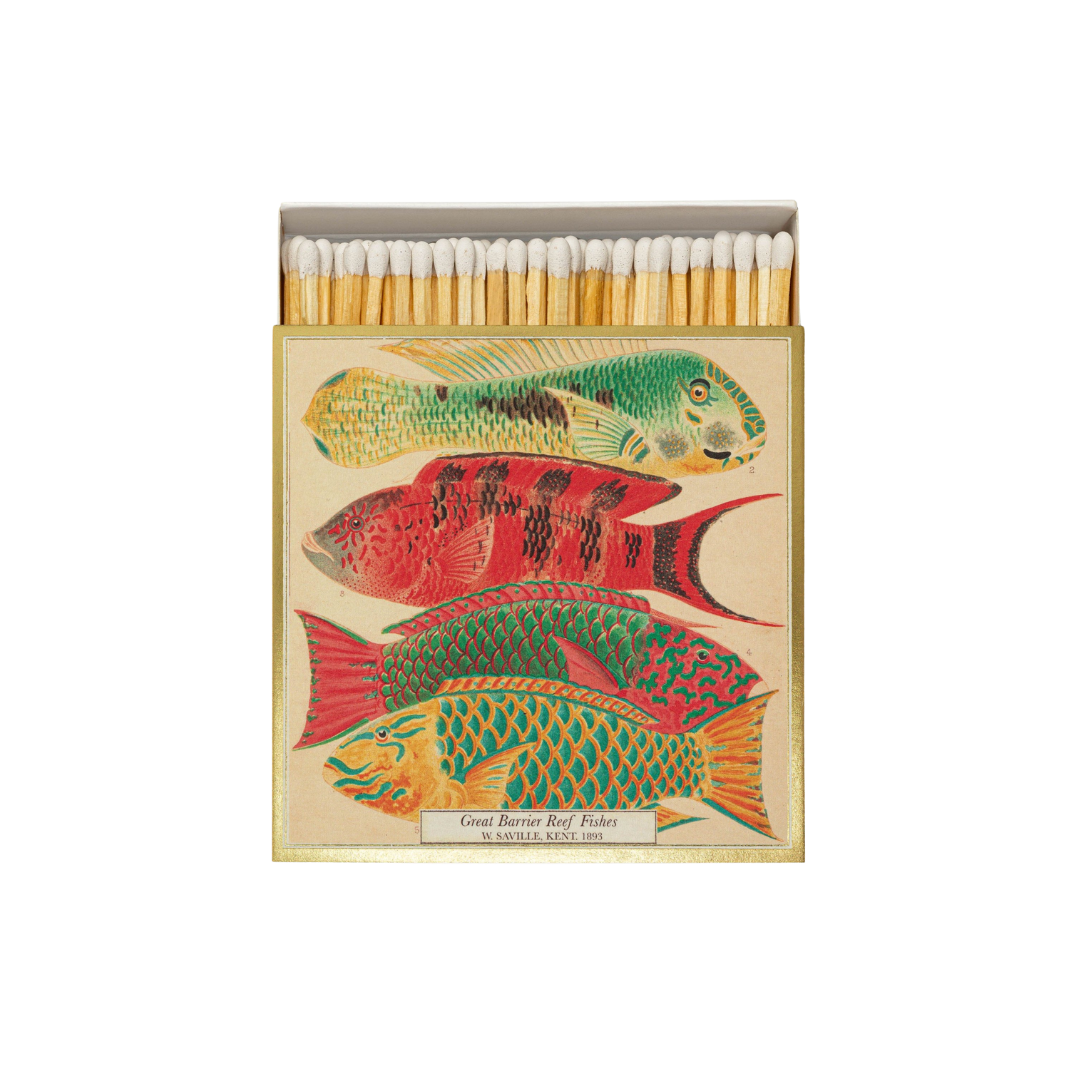 Square Matchboxes - Great Barrier Reef Fish