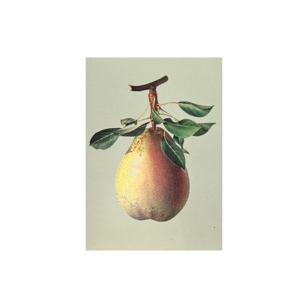 Mini Card - Pear