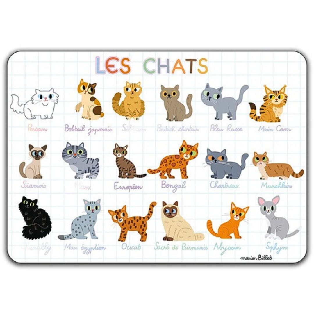 PVC Placemat - Cats