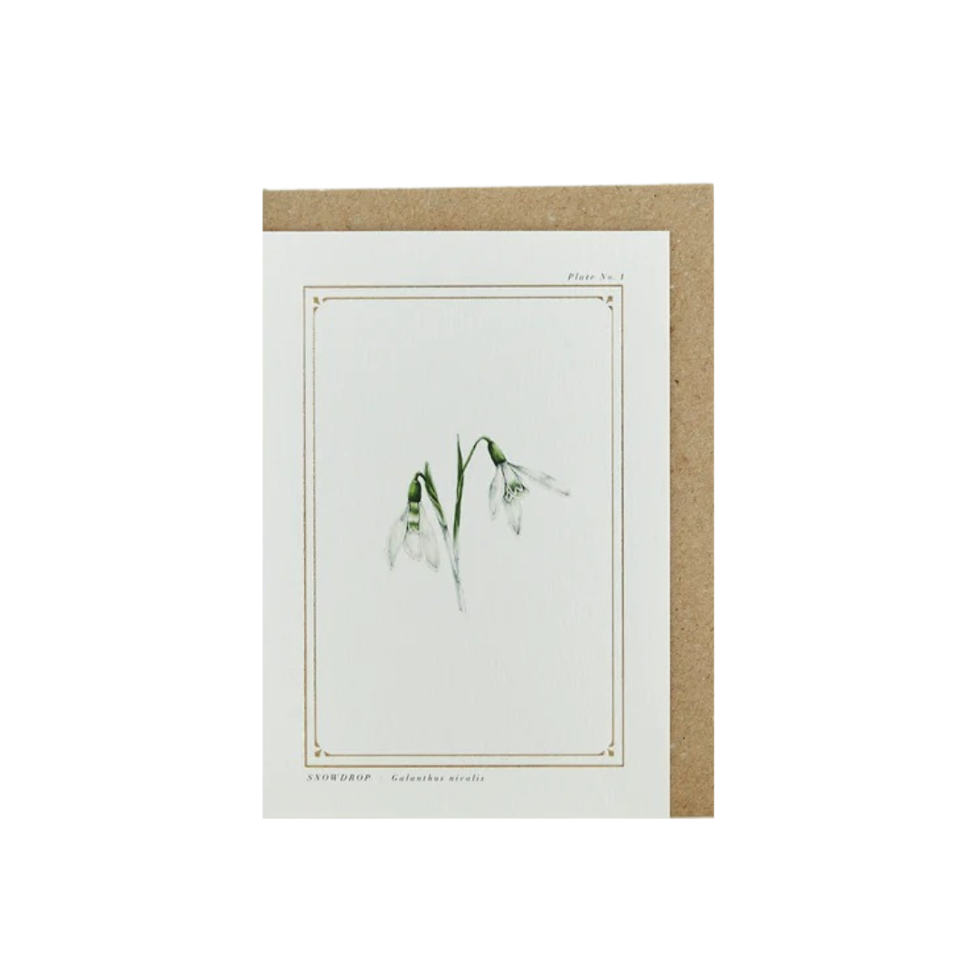 Christmas Card -Snowdrop