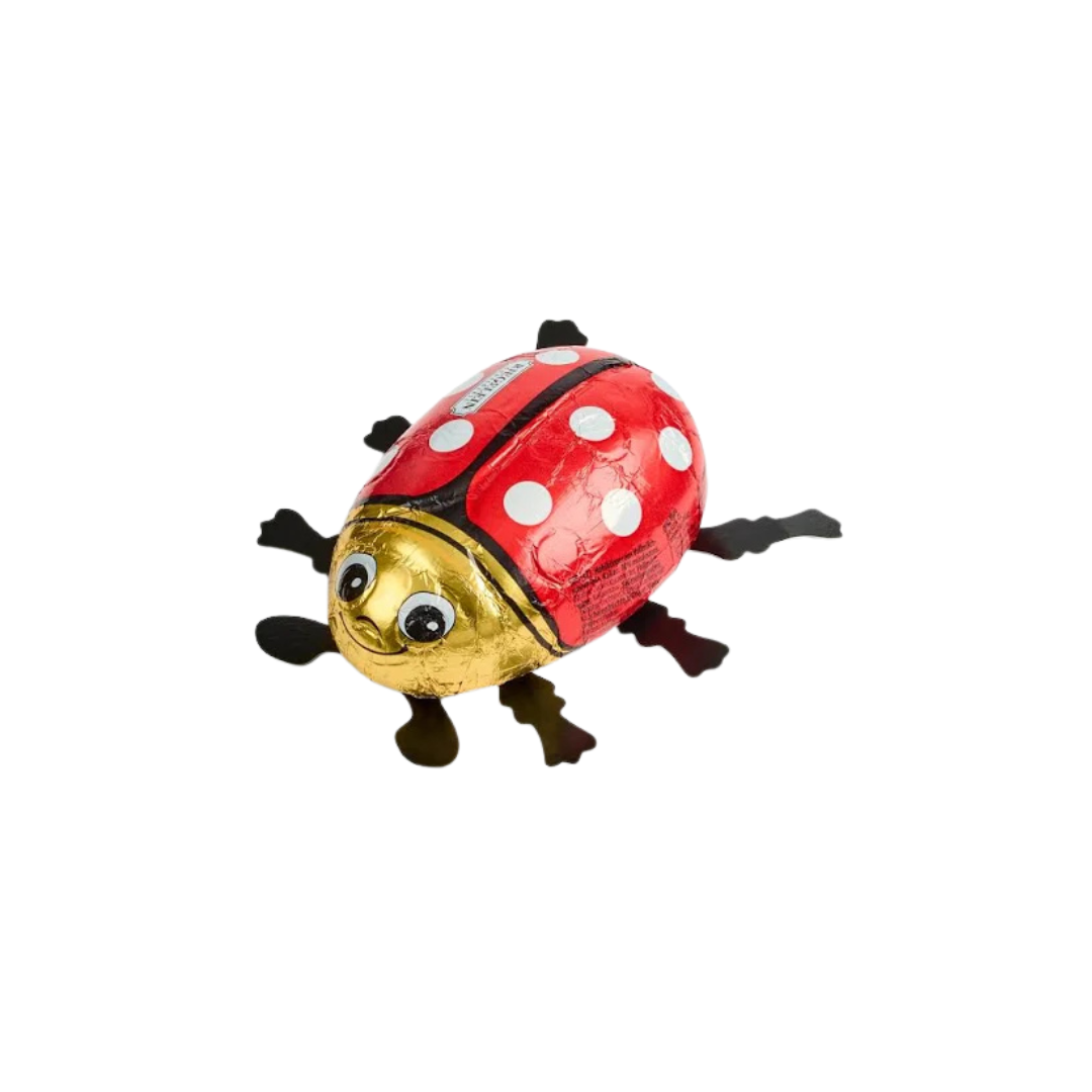 Large Chocolate Ladybird