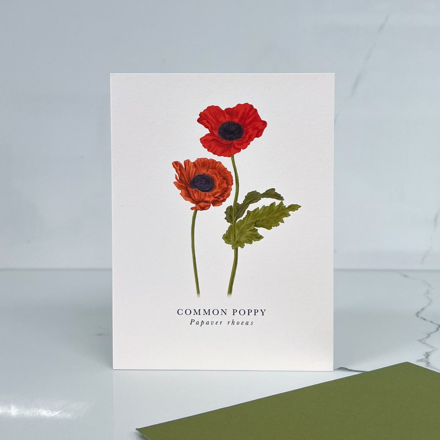 Card Poppy