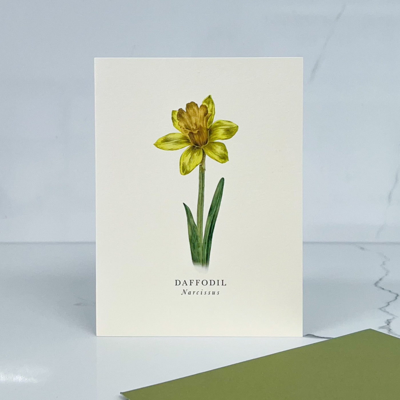 Card Daffodil
