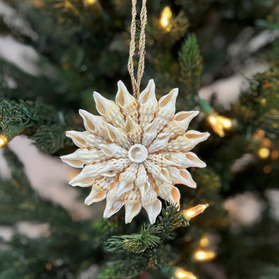 Shell Star Decoration #5