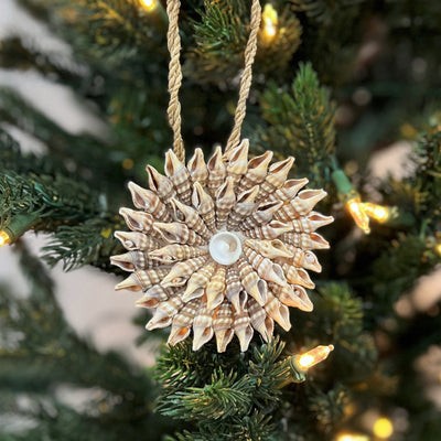 Shell Star Decoration #4