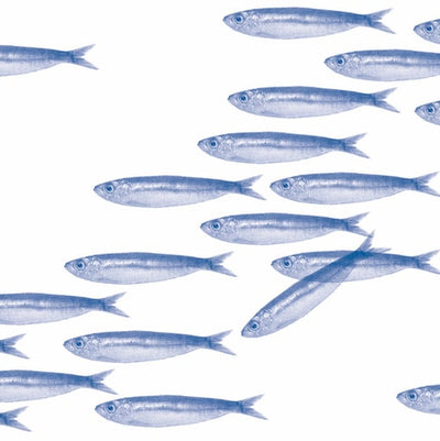 Serviette 40cm x 40cm Banc De Sardines