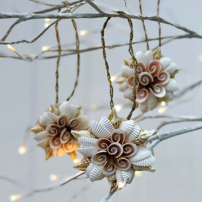 Shell Star Decoration #3