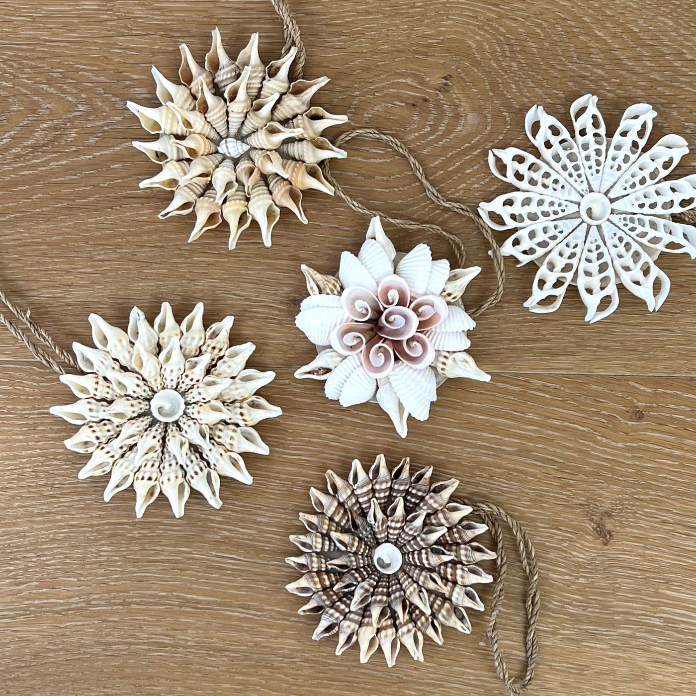 Shell Star Decoration #3